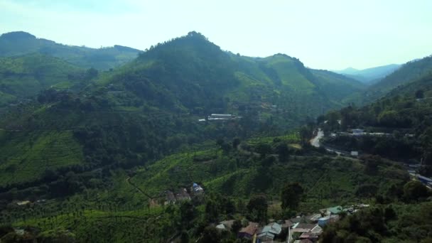 ニルギリの森の丘の上の茶畑の空中ビュー Ooty — ストック動画