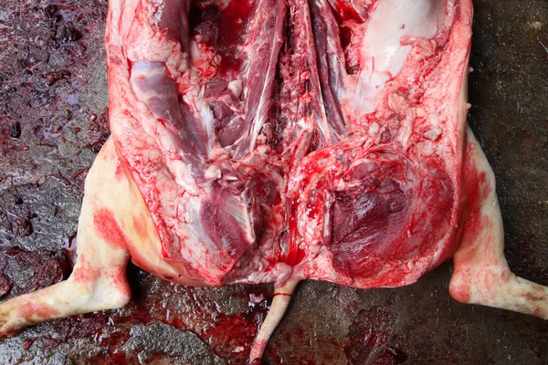 Сырое Мясо Свиньи — стоковое фото