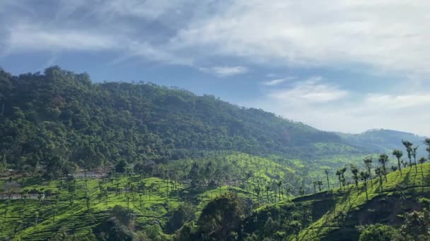 Vista Ooty Una Colina Bosque Nilgiri — Vídeos de Stock