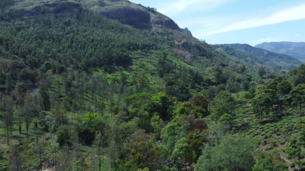 Hermoso Paisaje Verde Vista Aérea Las Plantaciones Munnar Kerala India — Vídeos de Stock