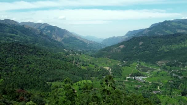 Hermoso Paisaje Verde Vista Aérea Las Plantaciones Munnar Kerala India — Vídeos de Stock