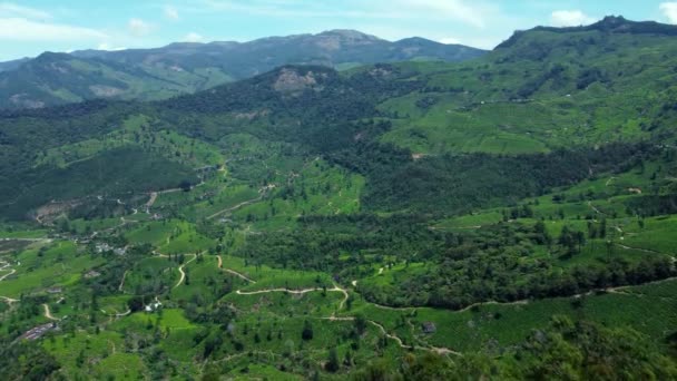 Gyönyörű Zöld Táj Aerial View Munnar Tea Ültetvények Kerala Dél — Stock videók