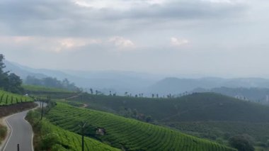Güney Hindistan, Kerala Munnar Çay Çiftlikleri 'nin güzel yeşil manzarası.