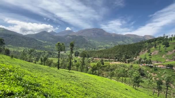 Hermoso Paisaje Verde Las Plantaciones Munnar Kerala India Del Sur — Vídeos de Stock