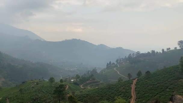 Schöne Grüne Landschaft Der Munnar Teeplantagen Kerala Südindien — Stockvideo