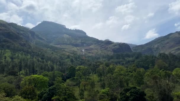 Piękny Zielony Krajobraz Plantacji Munnar Tea Kerala Południowe Indie — Wideo stockowe