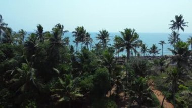 Güney Hindistan, Kerala sahilinde demirlemiş bir sürü teknesi olan balıkçı köyünün hava manzarası.