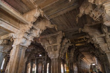 Jambukeswarar Akhilandeswari Tapınağı, Tiruchirappalli, Tamil Nadu, Hindistan