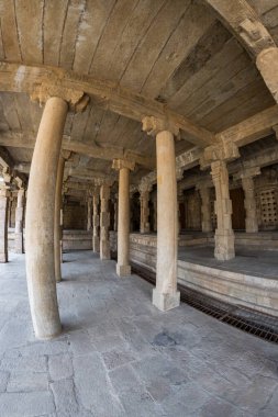 Airavatesvara Tapınağı 'ndaki sütunlu salon, Darasuram, Tamil Nadu, Hindistan. Büyük Yaşayan Chola Tapınaklarından biri - UNESCO Dünya Mirası Alanı