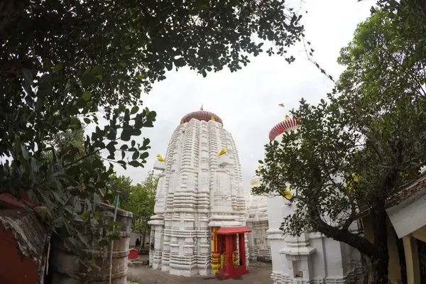 stock image  Muktesvara temple.kedar gouri park temples of orissa or odisha in india.