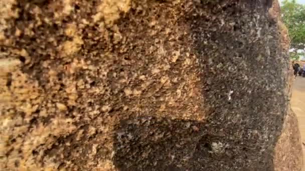 Οντίσα Πούρι Ινδία Απριλίου 2022 Rani Gumpha Σπηλιά Της Βασίλισσας — Αρχείο Βίντεο