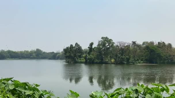 Jamshedpur Jharkhand Índia Abril 2022 Tata Zoo Lake Jubilee Park — Vídeo de Stock