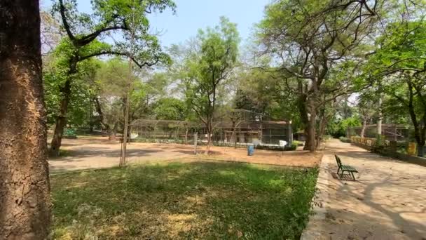 Jamshedpur Jharkhand Indie Kwietnia 2022 Tata Zoo Lake Jubilee Park — Wideo stockowe