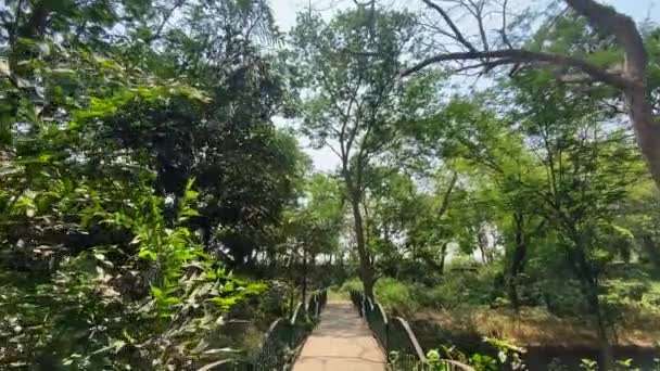 Jamshedpur Jharkhand India April 2022 Tata Zoo Lake Jubilee Park — Stockvideo