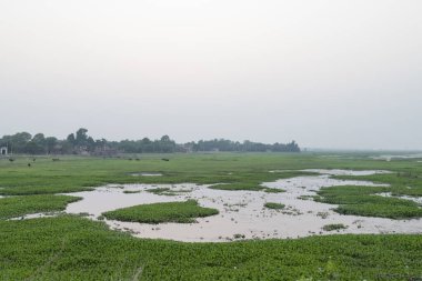 Kırsal bir göl yeşil çimen vahşi doğa parkı koruma havuzu yansıması mavi gökyüzü bulutu