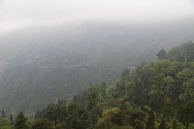 Himalaya dağlarının görkemli manzarası, Senchal ormanlarının yoğun yeşil ormanlarıyla çevrili. Darjeeling 'de Batı Bengal' in en yüksek zirvesi..