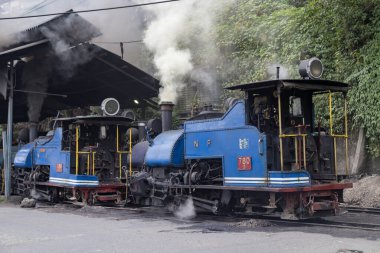Darjeeling, Batı Bengal, Hindistan, 22 Nisan 2022. Darjeeling 'deki dar bir demiryolunun oyuncak treni. Batı Bengal 'deki Darjeeling Himalaya Demiryolu..