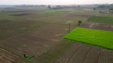 Hindistan 'daki tarım arazilerinin insansız hava aracı görüntüleri. Güzel manzaralı geniş yeşil alanlar..