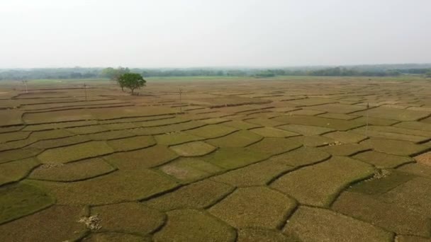 Flygdrönarskott Jordbruksmark Indien Vacker Vacker Vacker Vidsträckt Utsikt Över Spola — Stockvideo