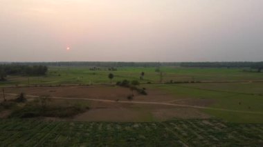 Hindistan 'daki tarım arazilerinin insansız hava aracı görüntüleri. Hindistan 'daki tarlaların manzarası çok güzel.  .