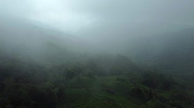 Hindistan 'da çay bahçesi havadan çekimleri, Hindistan' da bulutlu bir günde Drone çay bahçesi çekimi, Batı Bengal, Darjeeling