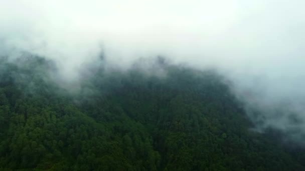 Zdjęcia Lotu Ptaka Górach Darjeeling Zdjęcia Dronów Darjeeling Zdjęcia Dronów — Wideo stockowe