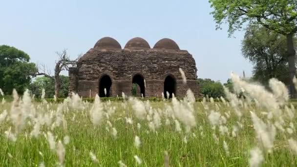 Gunamanta Masjid Ruins Small Mosque Capital Muslim Nawabs Bengal 13Th — Stock Video