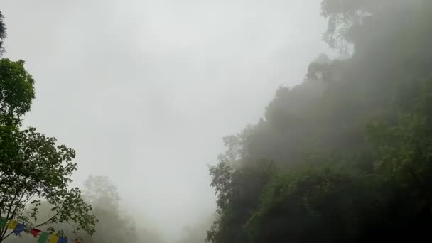 Darjeeling의 비디오 자연의 비디오 풍경에서 Darjeeling 정원보기 — 비디오