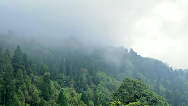 Βουνά Του Darjeeling View Κήπο Τσάι Darjeeling Στην Ινδία Εναέρια — Αρχείο Βίντεο