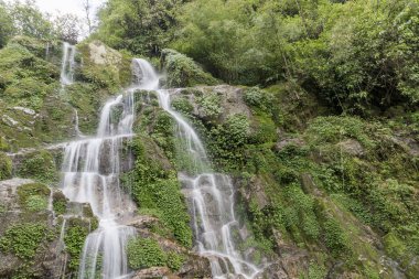 Hindistan, Sikkim 'deki Himalaya vadisinde güzel bir şelale.