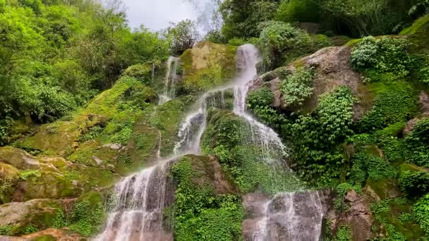 Красивий Каскадний Водоспад Бактанг Гімалайській Долині Гангтоці Сикімі Індія — стокове відео