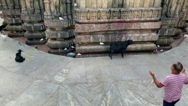 Guwahti Assam Indien April 2022 Kamakhya Tempel Heiliger Hinduistischer Schrein — Stockvideo