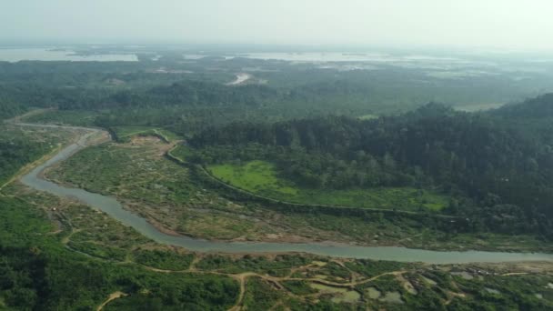 インドのアッサム州の熱帯ジャングルの緑の熱帯雨林の空中上下の眺めの川 — ストック動画