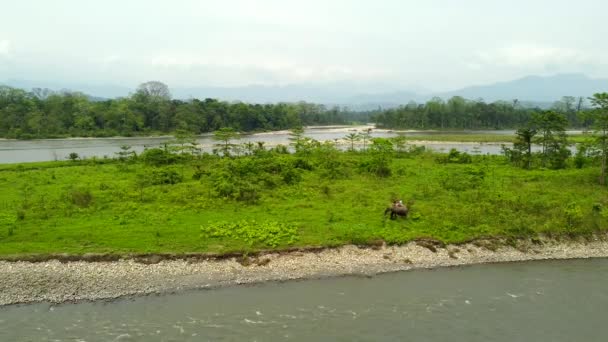 Range Agent Forestier Tour Éléphant Dans Rivière Kameng Dans Parc — Video