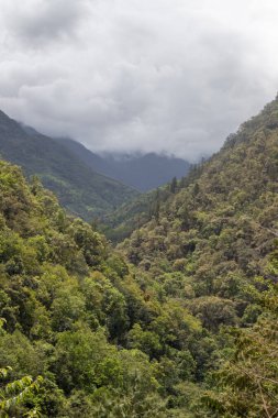 Hindistan 'ın batısındaki Arunachal Pradesh' te, Tawang yakınlarındaki küçük Senge köyü yakınlarında yoğun bakir ormanlarla kaplı yüksek dağlar ve bulutlarla örtülmüş..