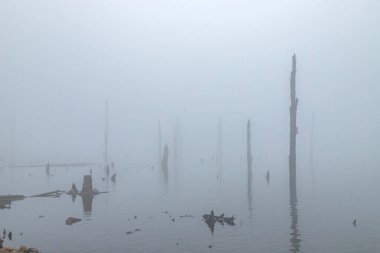 Bulutlu manzara ve ölü ağaç kütükleri donmuş Madhuri Gölü ya da Sangetsar Gölü Sangestar Tso Gölü üzerinde duruyor. Tawang, Arunachal Pradesh, Hindistan 'daki Bum la Pass yakınlarında yer alıyor.