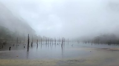 Bulutlu manzara ve ölü ağaç kütükleri donmuş Madhuri Gölü ya da Sangetsar Gölü Sangestar Tso Gölü üzerinde duruyor. Tawang, Arunachal Pradesh, Hindistan 'daki Bum la Pass yakınlarında yer alıyor.