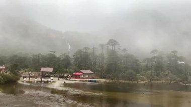 Bulutlu manzara ve ölü ağaç kütükleri donmuş Madhuri Gölü ya da Sangetsar Gölü Sangestar Tso Gölü üzerinde duruyor. Tawang, Arunachal Pradesh, Hindistan 'daki Bum la Pass yakınlarında yer alıyor.