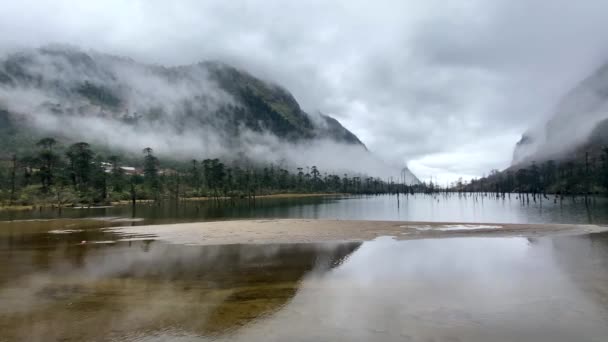 Vista Paisagem Nublada Tocos Árvores Mortas Lago Congelado Madhuri Lago — Vídeo de Stock