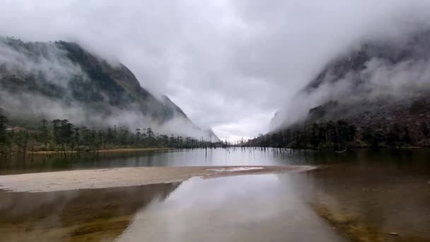 Chmurny Widok Krajobraz Martwe Pnie Drzew Stojących Zamarzniętym Jeziorze Madhuri — Wideo stockowe