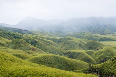 Dzukou Vadisi, Hindistan 'ın Nagaland ve Manipur eyaletlerinin sınırında yer almaktadır. Bu vadi doğal çevresi, mevsimlik çiçekleri, bitki örtüsü ve faunasıyla ünlüdür..