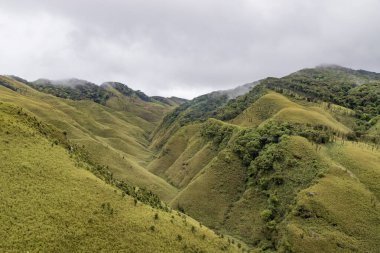 Dzukou Vadisi, Hindistan 'ın Nagaland ve Manipur eyaletlerinin sınırında yer almaktadır. Bu vadi doğal çevresi, mevsimlik çiçekleri, bitki örtüsü ve faunasıyla ünlüdür..