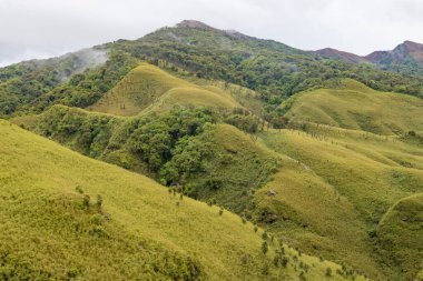 Dzukou Vadisi, Hindistan 'ın Nagaland ve Manipur eyaletlerinin sınırında yer almaktadır. Bu vadi doğal çevresi, mevsimlik çiçekleri, bitki örtüsü ve faunasıyla ünlüdür..