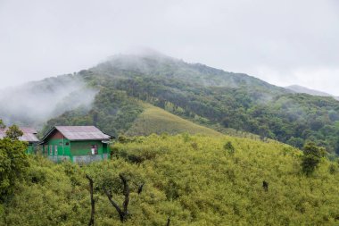 Dzukou Vadisi 'ndeki Trekking Hut, Hindistan' ın Nagaland ve Manipur eyaletlerinin sınırında yer almaktadır. Bu vadi doğal çevresi, mevsimlik çiçekleri, bitki örtüsü ve faunasıyla ünlüdür..