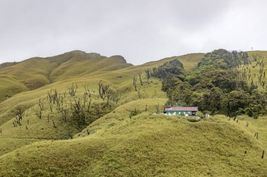Dzukou Vadisi 'ndeki Trekking Hut, Hindistan' ın Nagaland ve Manipur eyaletlerinin sınırında yer almaktadır. Bu vadi doğal çevresi, mevsimlik çiçekleri, bitki örtüsü ve faunasıyla ünlüdür..