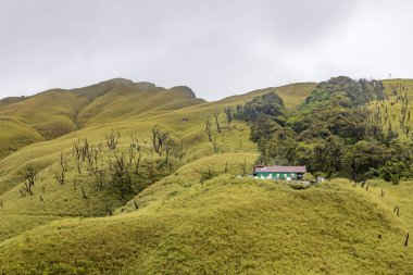 Trekking Hut in dzukou valley is located at the border of the Indian states of Nagaland and Manipur.This valley is well known for its natural environment, seasonal flowers and flora and fauna. clipart