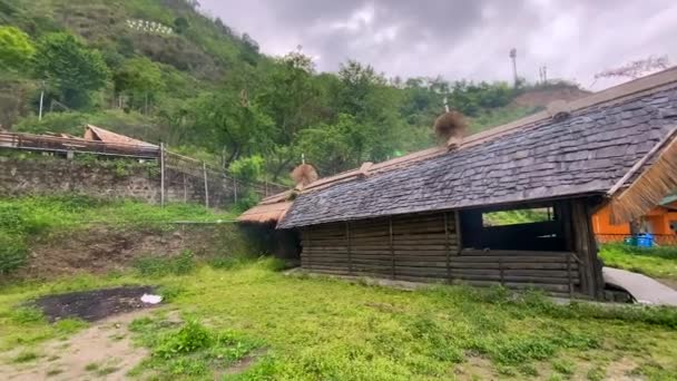 Kohima Nagaland India Мая 2022 Traditional House Naga Heritage Village — стоковое видео