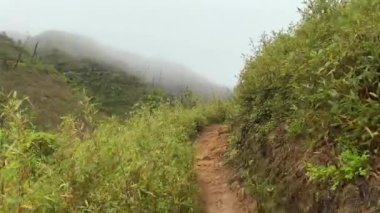Dzukou Vadisi 'nde seyahat, Hindistan' ın Nagaland ve Manipur eyaletlerinin sınırında yer almaktadır. Bu vadi doğal çevresi, mevsimlik çiçekleri, bitki örtüsü ve faunasıyla ünlüdür..