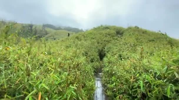 Trekking Dzukou Valley Located Border Indian States Nagaland Manipur Valley — стоковое видео