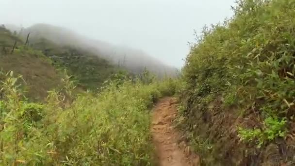 Trekking Dzukou Tal Liegt Der Grenze Der Indischen Bundesstaaten Nagaland — Stockvideo